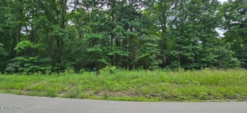 Lot 48-49 Bear Creek Rd, Winfield, TN 37892