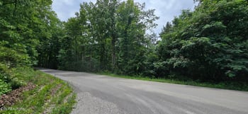 Lot 48-49 Bear Creek Rd, Winfield, TN 37892