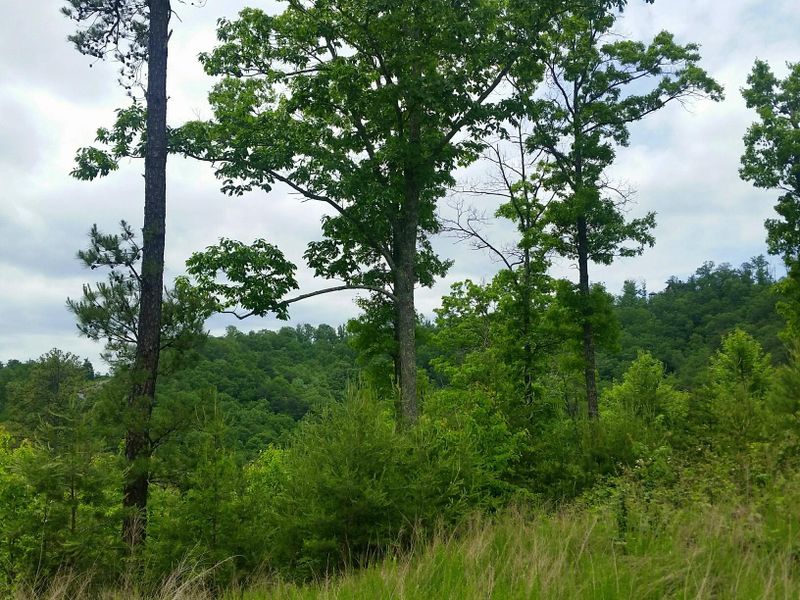 Lot 48 Misty Bluff Tr, Sevierville, TN 37876