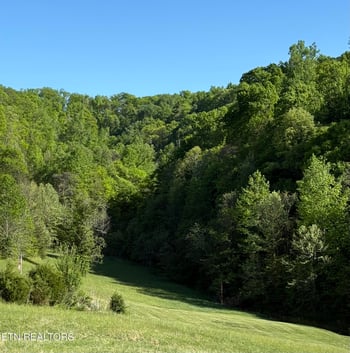 lot 485 Russell Brothers Rd, Sharps Chapel, TN 37866