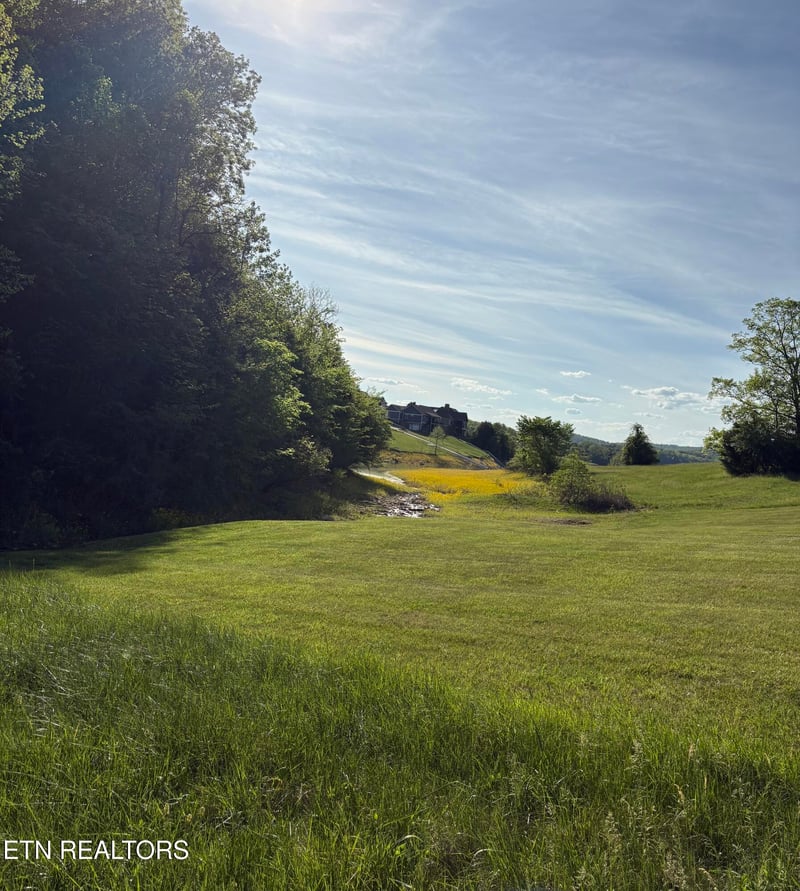 lot 485 Russell Brothers Rd, Sharps Chapel, TN 37866