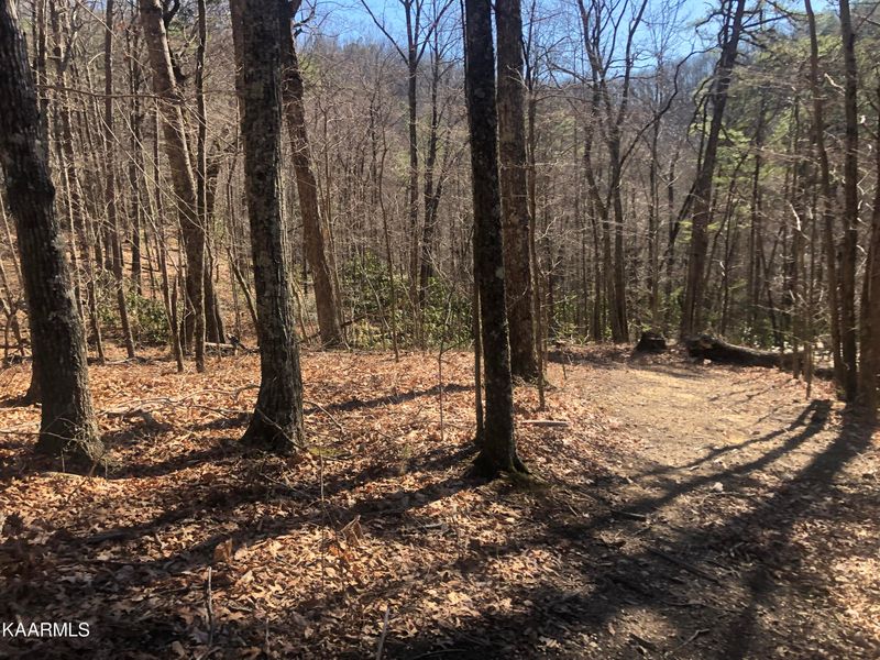 Lot 49 Magnolia Ct, Sevierville, TN 37876