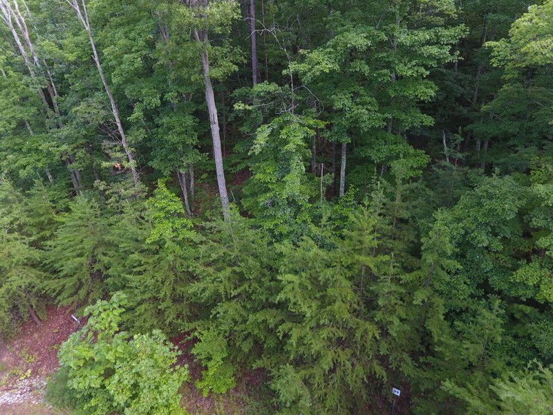 Lot 49 Mountain Ash Way, Sevierville, TN 37876