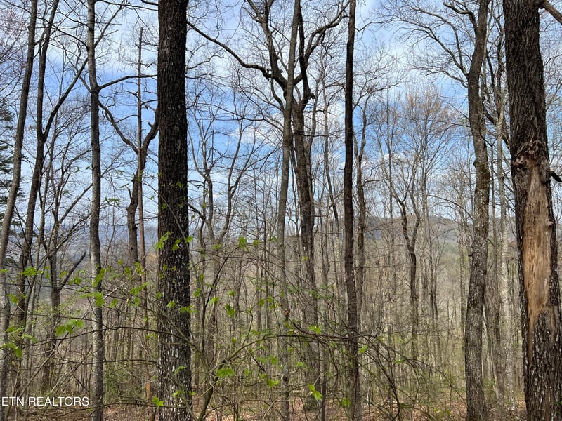 Lot 49 Patriot Ln, Sevierville, TN 37862