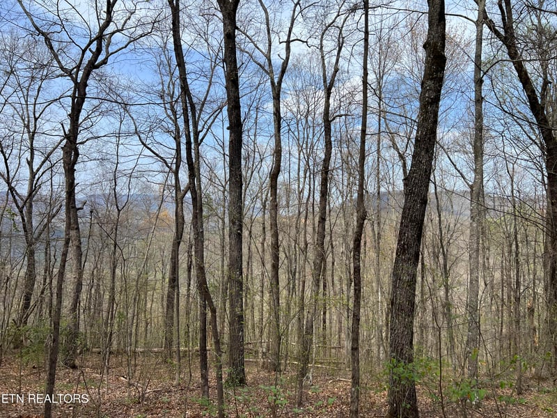 Lot 49 Patriot Ln, Sevierville, TN 37862