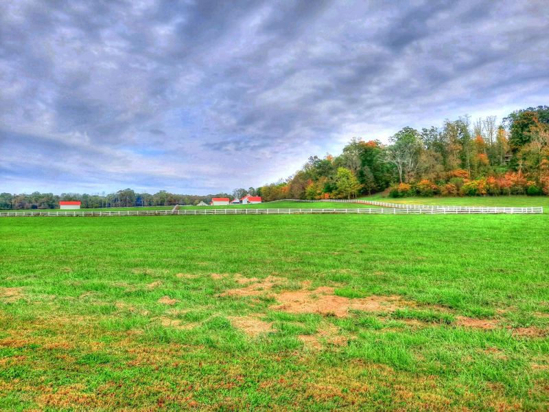 Lot 495 W Shore Dr, Rockwood, TN 37854