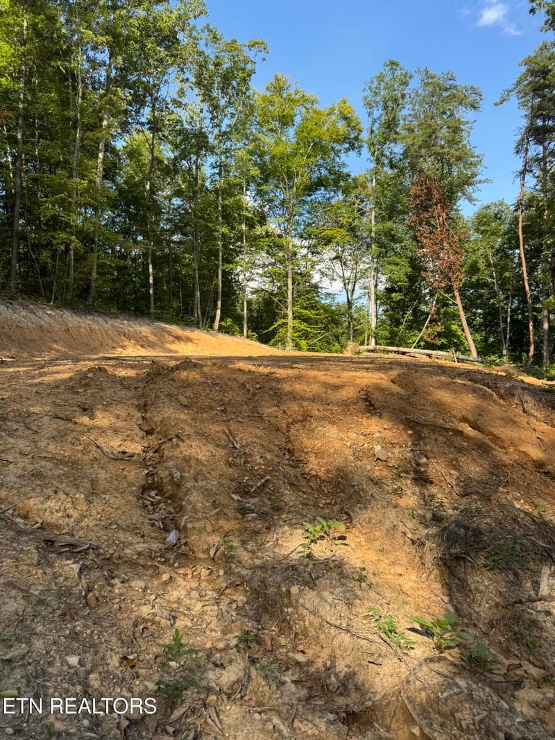 Lot 4A Texas Hollow Rd, Luttrell, TN 37779