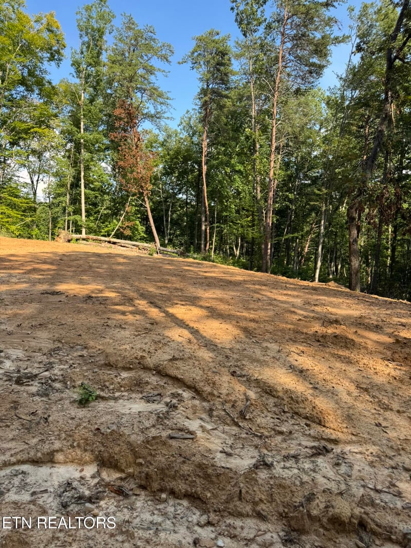 Lot 4A Texas Hollow Rd, Luttrell, TN 37779