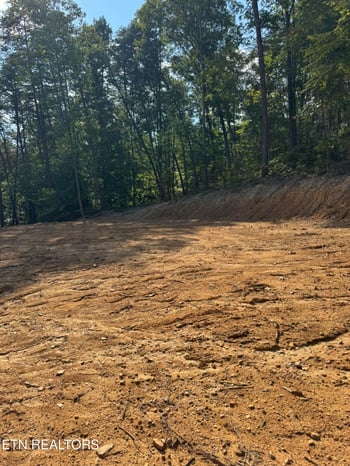 Lot 4A Texas Hollow Rd, Luttrell, TN 37779