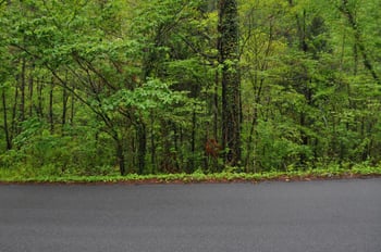 Lot 4bj Walker Tr, Pigeon Forge, TN 37876