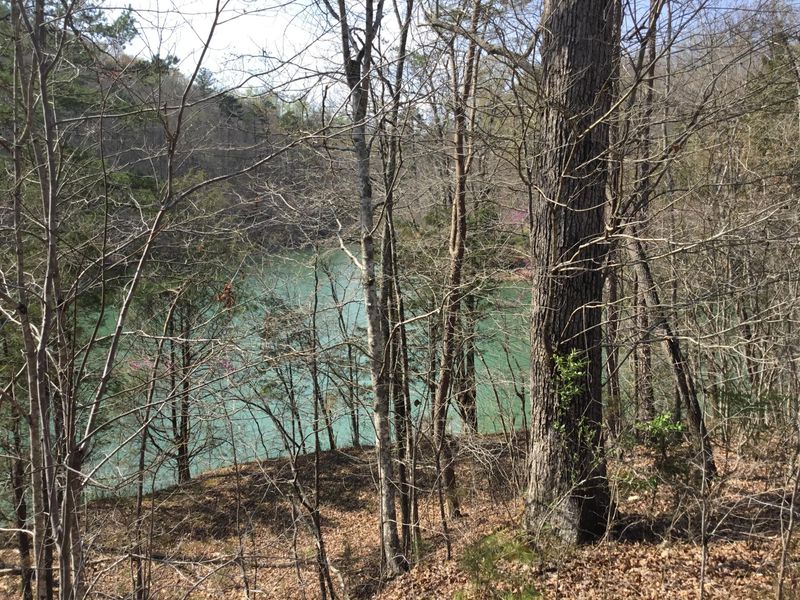 Lot 5 - 6 Harbor Ln, Lafollette, TN 37766