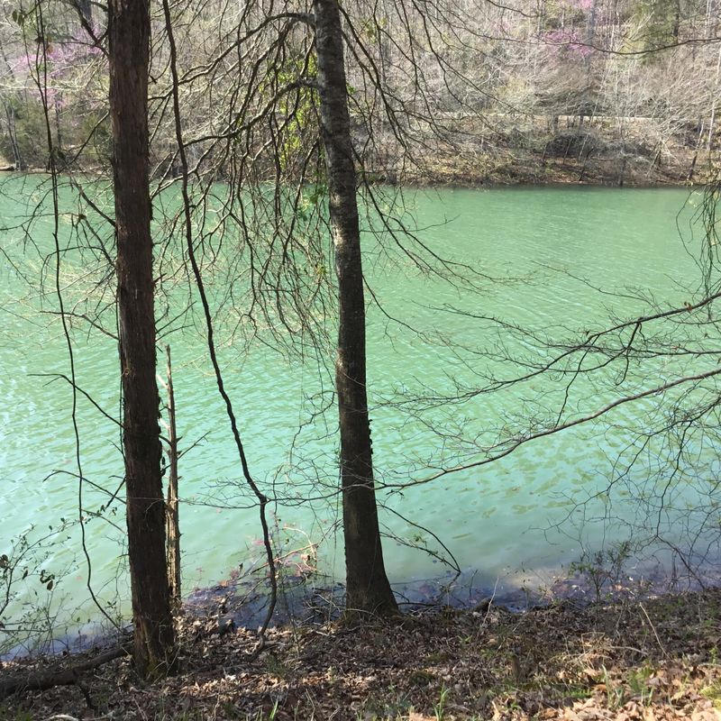 Lot 5 - 6 Harbor Ln, Lafollette, TN 37766