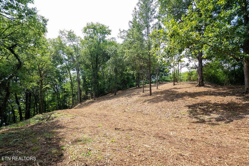 Lot 5 - 6 Valley Dr, Loudon, TN 37774