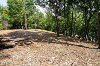 Lot 5 - 6 Valley Dr, Loudon, TN 37774