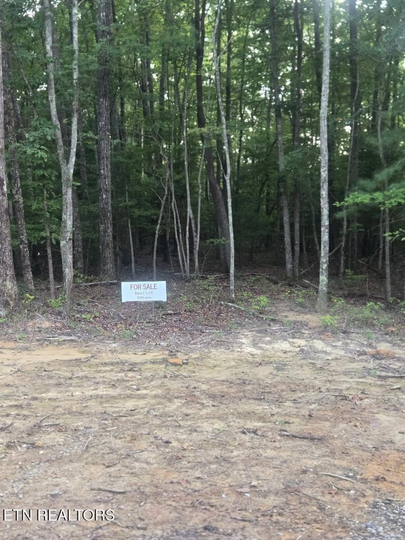 Lot 5 Bk I Ravenwood Dr, Wartburg, TN 37887