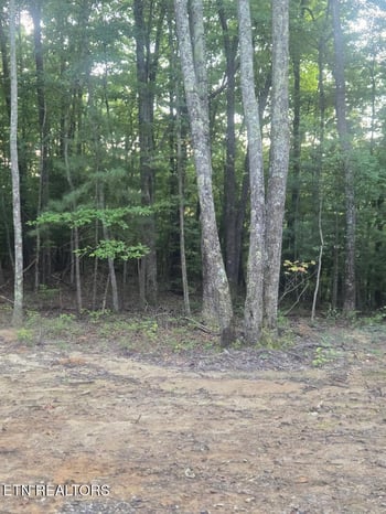 Lot 5 Bk I Ravenwood Dr, Wartburg, TN 37887