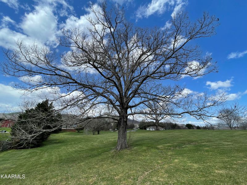 Lot 5 Buck Hill Dr, Sevierville, TN 37862