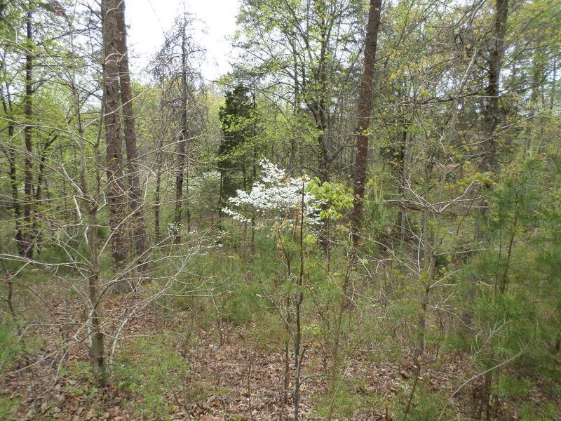 Lot 5 Catherine Crisp Way, Kodak, TN 37764