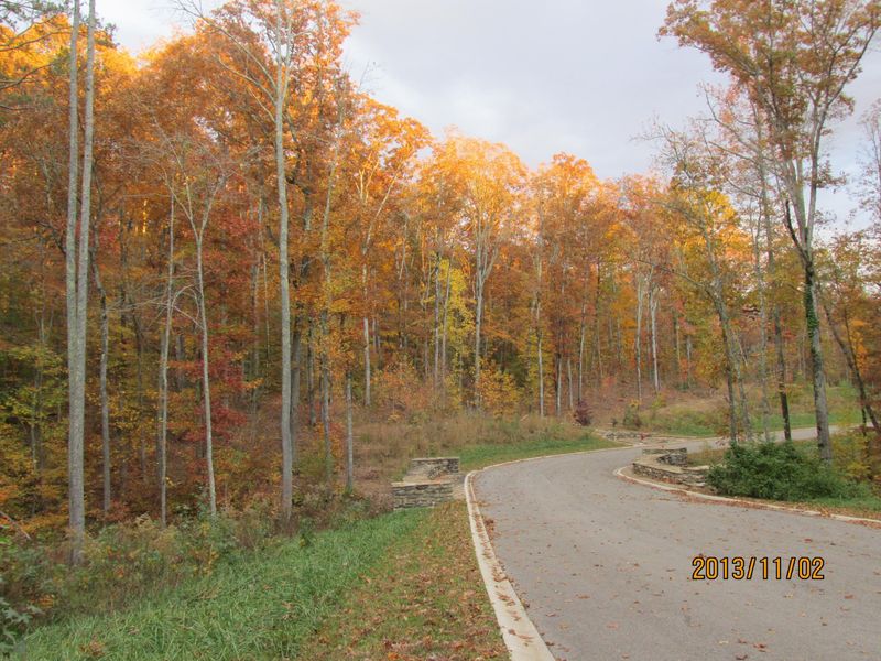 Lot 5 Eagle Ridge Rd, Rockwood, TN 37854