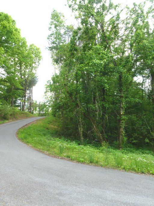 Lot 5 Ernie Roberts Rd, Rutledge, TN 37861