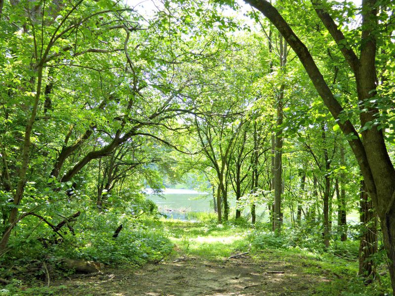 Lot 5 Ernie Roberts Rd, Rutledge, TN 37861