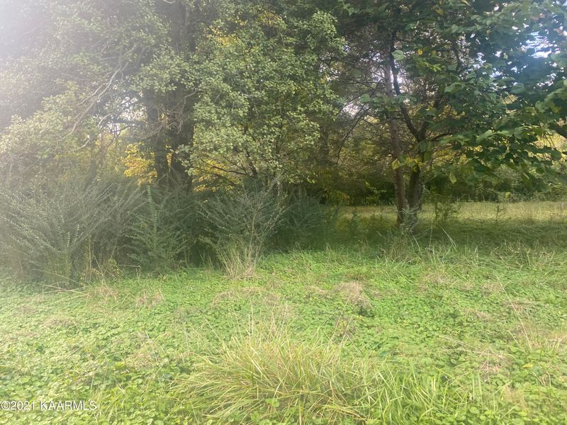 Lot 5 Riverview Rd, Townsend, TN 37882
