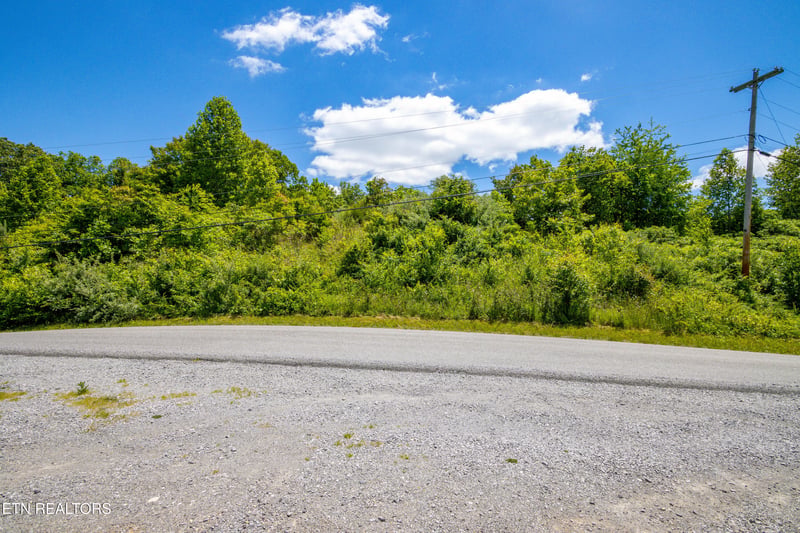 Lot 5 Saddleridge, Speedwell, TN 37870