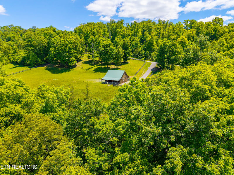 Lot 5 Saddleridge, Speedwell, TN 37870