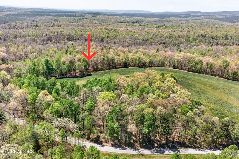 Lot 5 Smith Mountain Rd, Rockwood, TN 37854