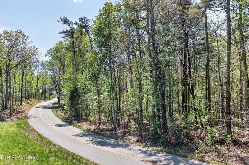 Lot 5 Smith Mountain Rd, Rockwood, TN 37854