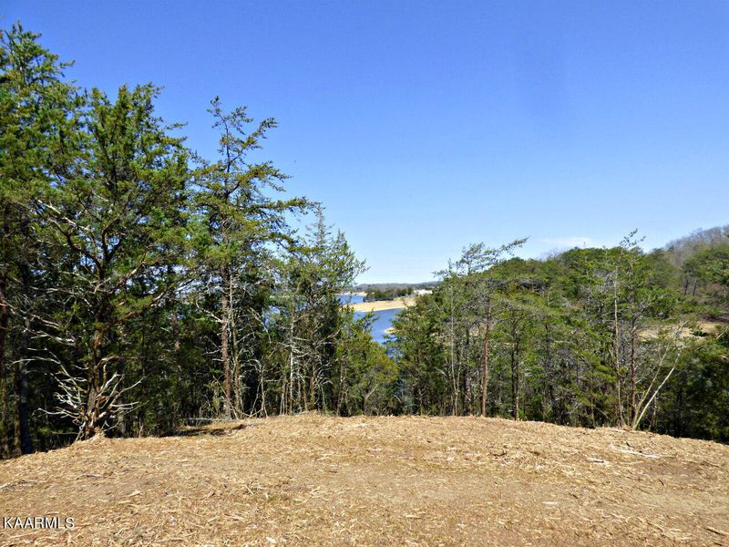 Lot 5 Snapdragon Rd, Sevierville, TN 37876