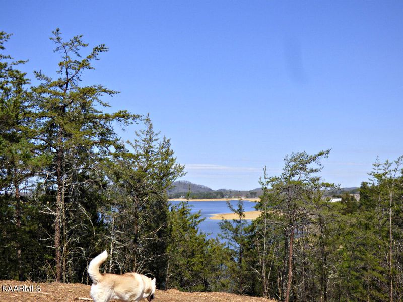 Lot 5 Snapdragon Rd, Sevierville, TN 37876