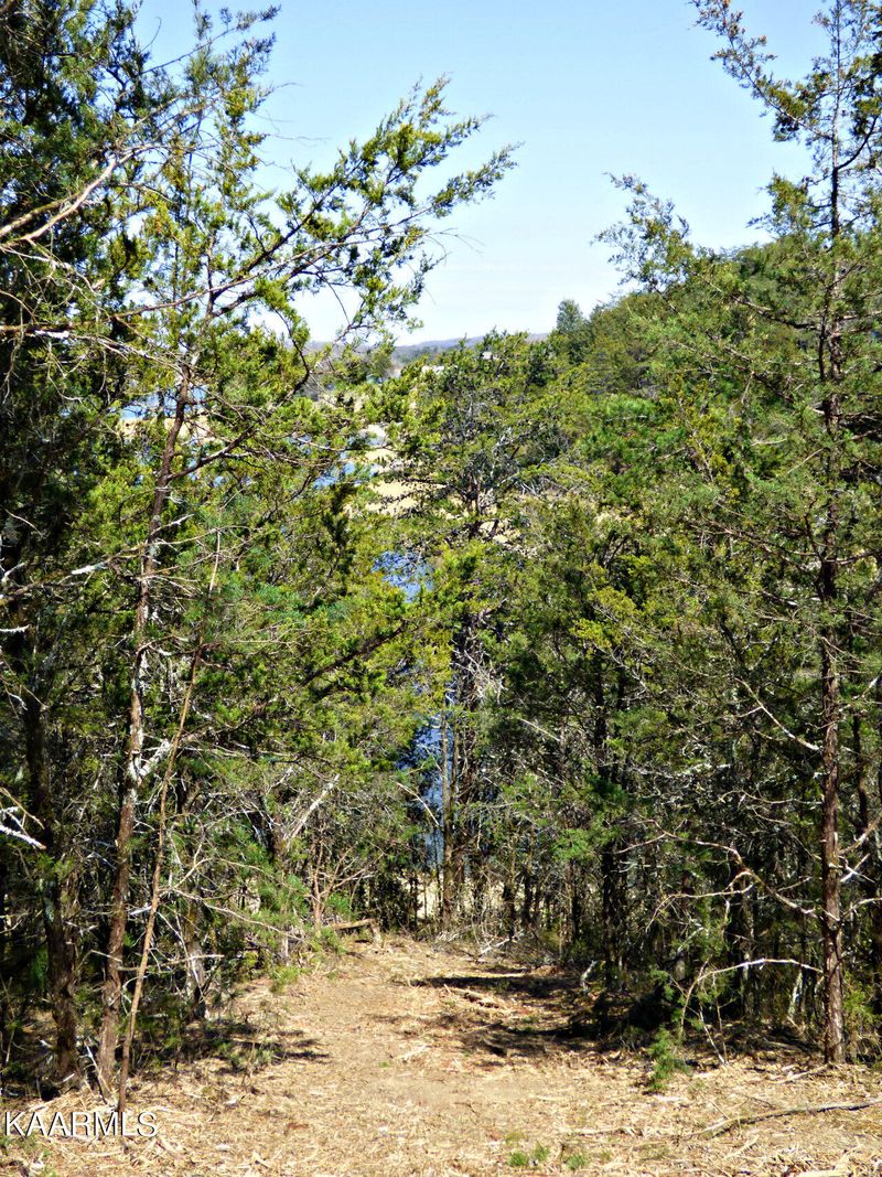 Lot 5 Snapdragon Rd, Sevierville, TN 37876