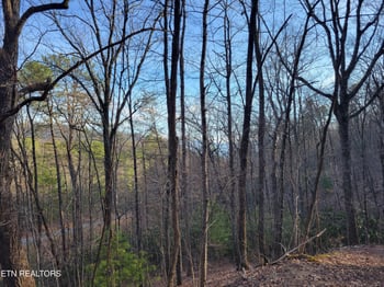 Lot 5 Swann Saddle, Sevierville, TN 37876
