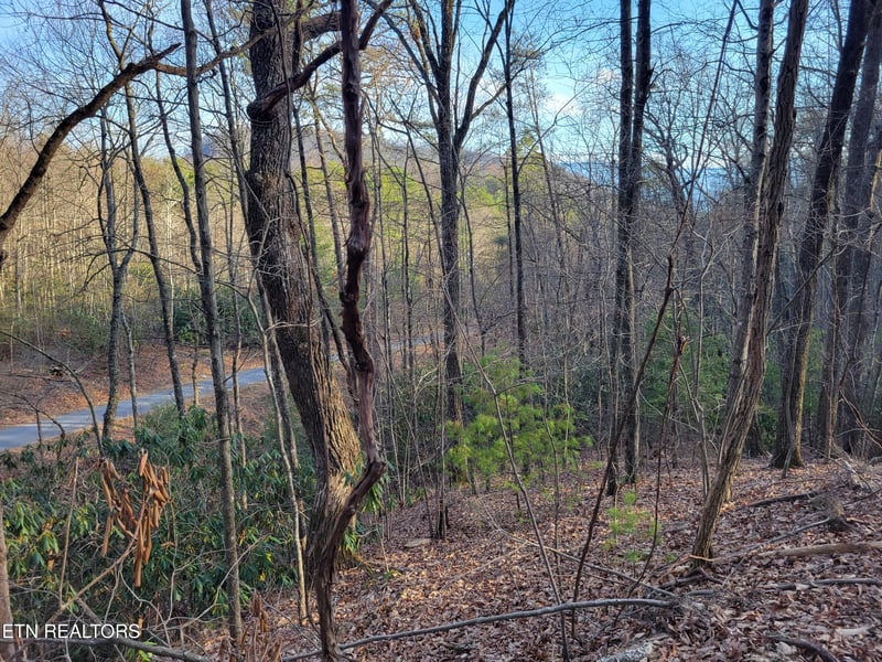 Lot 5 Swann Saddle, Sevierville, TN 37876