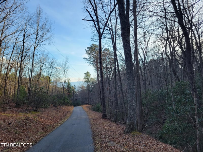 Lot 5 Swann Saddle, Sevierville, TN 37876
