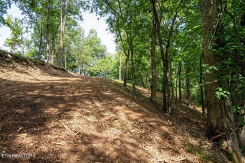 Lot 5 Valley Dr, Loudon, TN 37774