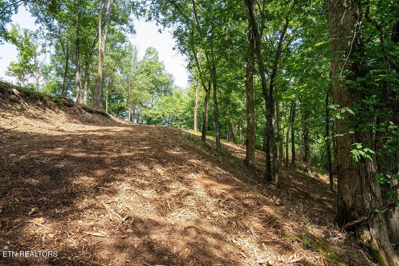 Lot 5 Valley Dr, Loudon, TN 37774