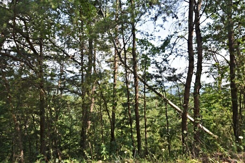 Lot 5 Windswept View Way, Sevierville, TN 37876