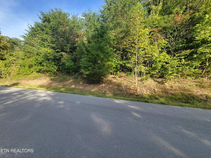 Lot 51 Hickory Point Ln, Maynardville, TN 37807