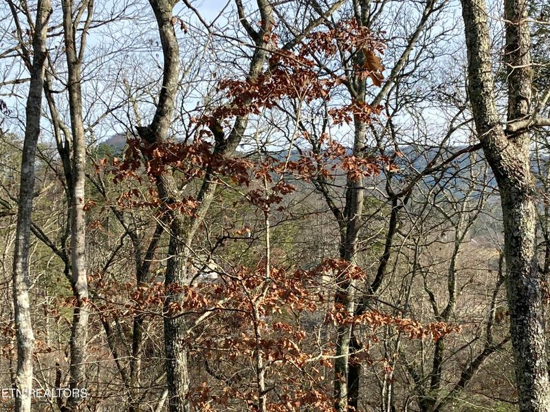 Lot 51 Red Cedar Ln, Sevierville, TN 37876