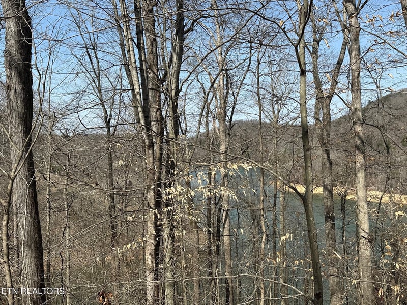 Lot 51 S Shorewood Dr, Caryville, TN 37714
