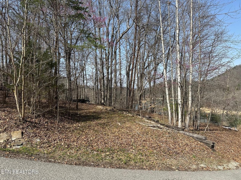 Lot 51 S Shorewood Dr, Caryville, TN 37714