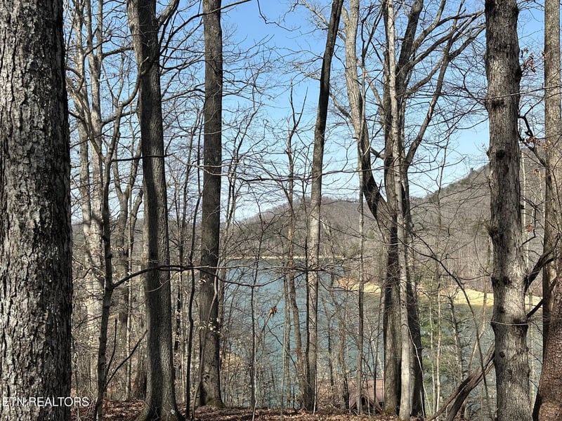 Lot 51 S Shorewood Dr, Caryville, TN 37714
