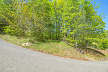 Lot 51 S Shorewood Dr, Caryville, TN 37714