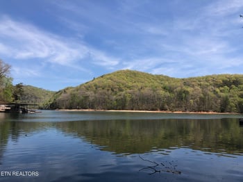 Lot 51 S Shorewood Dr, Caryville, TN 37714