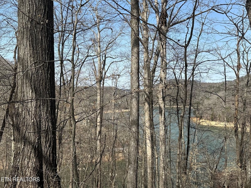 Lot 51 S Shorewood Dr, Caryville, TN 37714