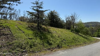 Lot 52 Bayside Blvd, Bean Station, TN 37708
