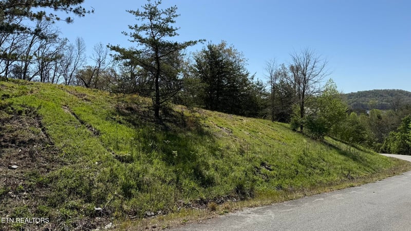 Lot 52 Bayside Blvd, Bean Station, TN 37708
