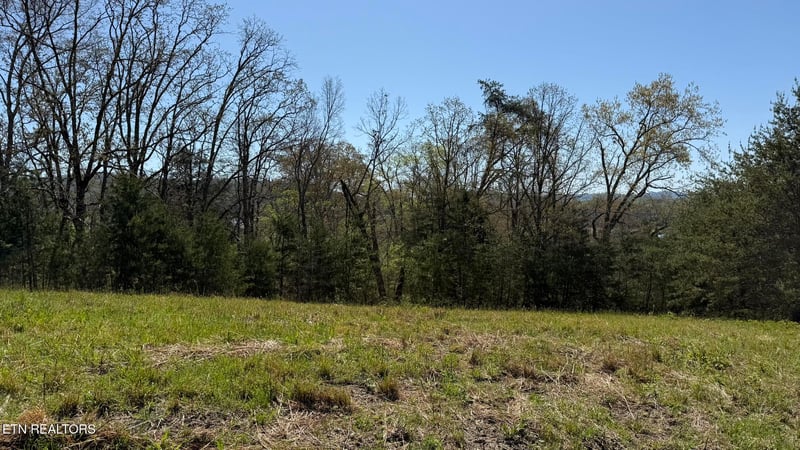 Lot 52 Bayside Blvd, Bean Station, TN 37708